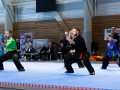 ASO_ROUGECEDRE_250427_Interclub-ArtsMartiauxDeChine-517-Enhanced-NR-web