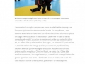 stage-22-02-2017-TELEGRAMME